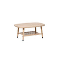 **Table Basse en Bois avec Étagère Inférieure - Design Moderne et Fonctionnel**